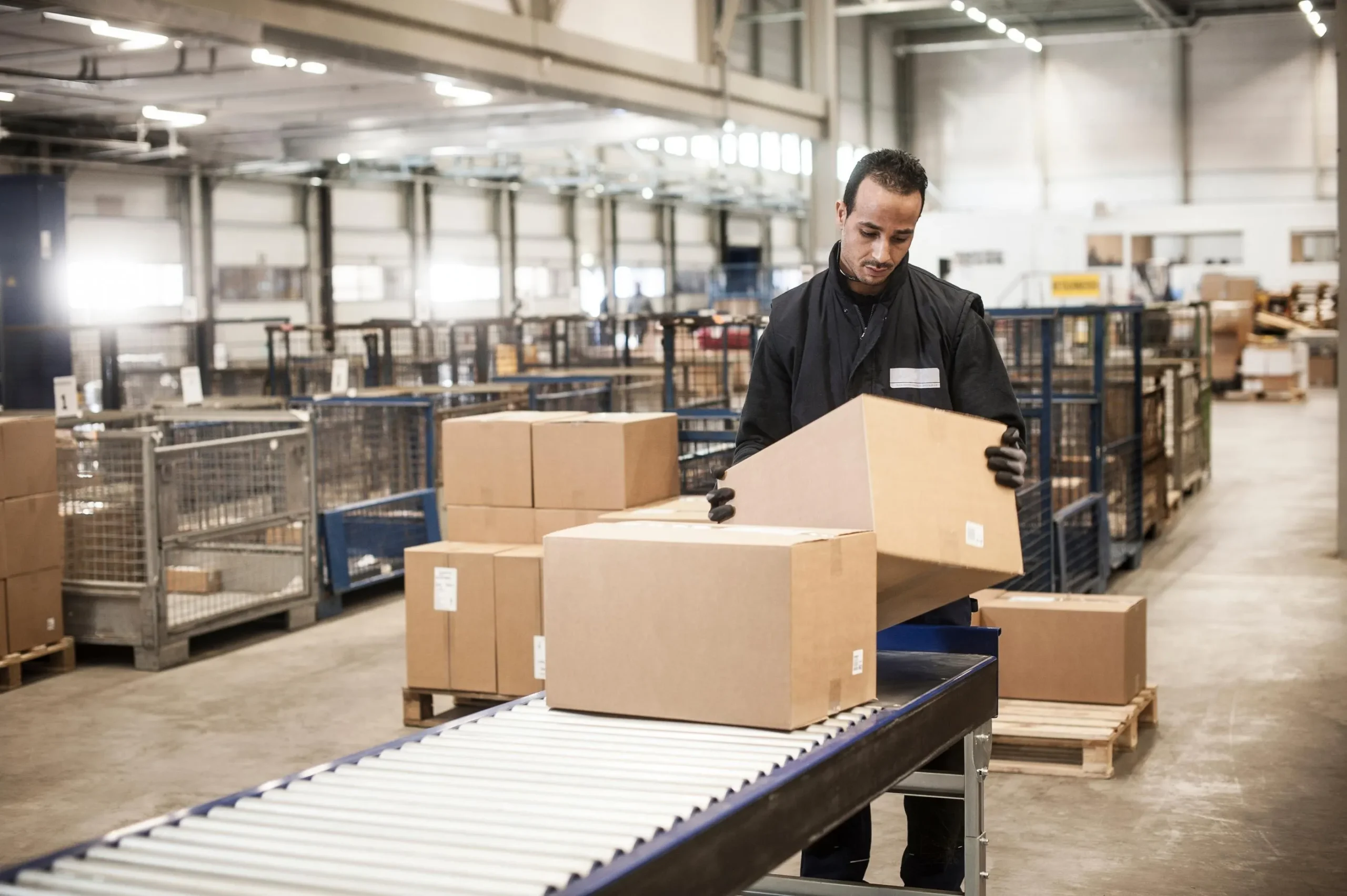 AM365 Sorting and Proccessing